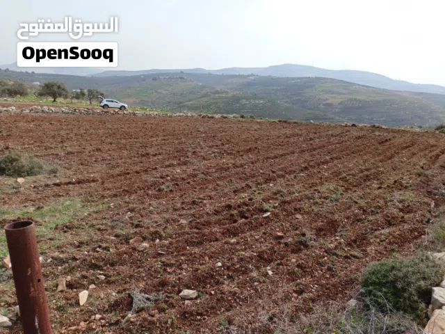 قطعه ارض للبيع في عصيره الشماليه