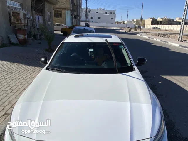 نيسان التيما 2021 ابيض صدفي معوقين كربلاء