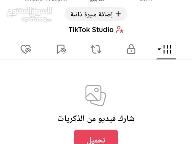 Accounts - Others Accounts and Characters for Sale in Northern Governorate