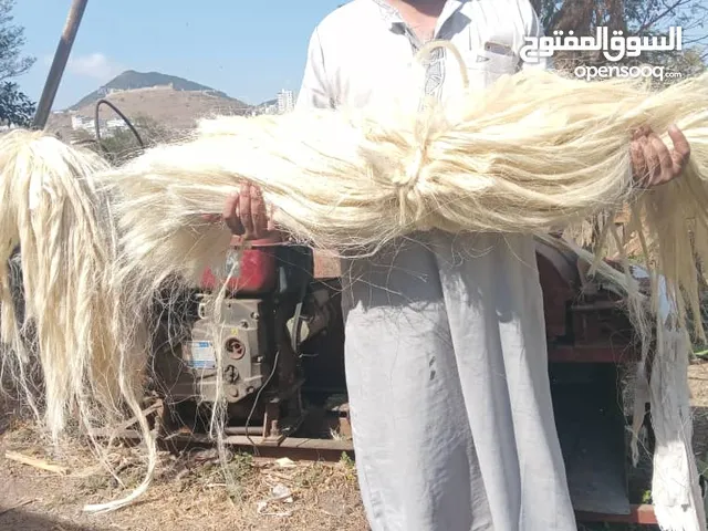 شعر جبس ممتاز درجه اولى وبسعر منافس