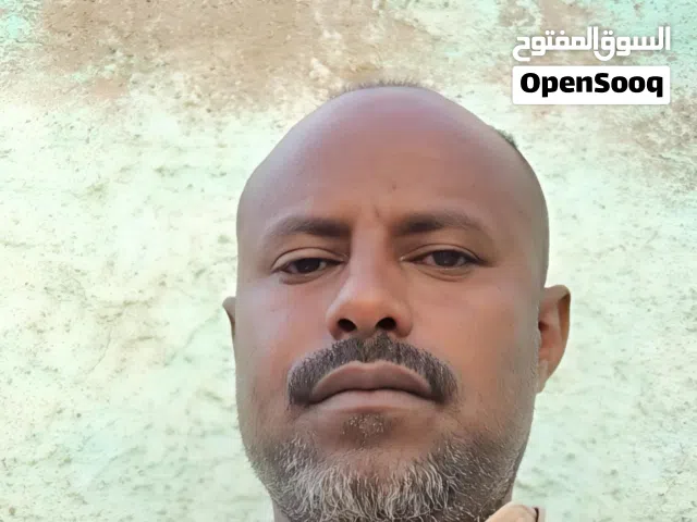 محمد طائع كرم الله إبراهيم
