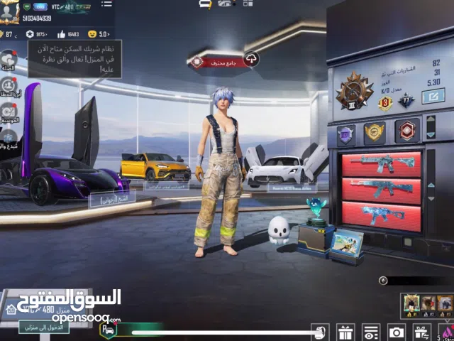 Pubg Accounts and Characters for Sale in Southern Governorate