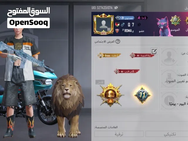 Pubg Accounts and Characters for Sale in Amman