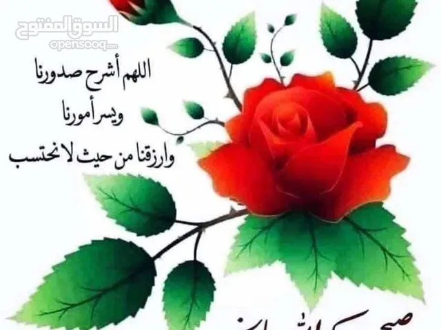 تتوفر لدينا ورشة حداده متنقله للحام الابواب والشبابيك وعمل السقائف وجميع اعمال الحديده واللحاف