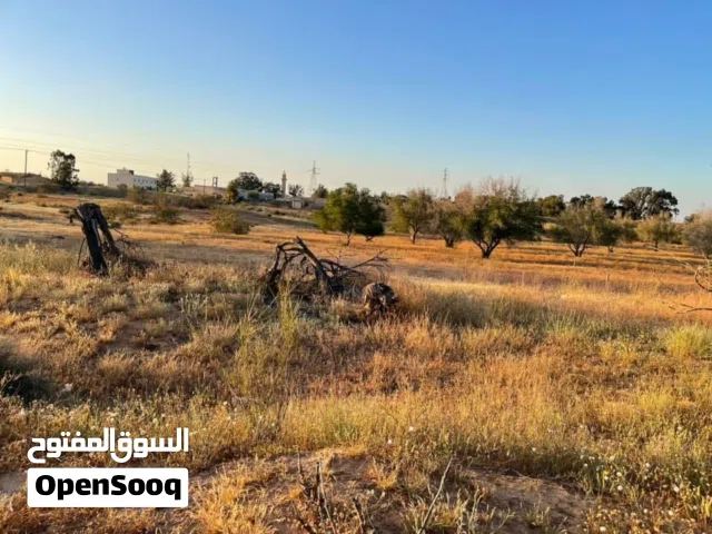 قطعة ارض مساحتها5400متر تبعد عالرئيسي40متر توجد بيها اشجار زيتون