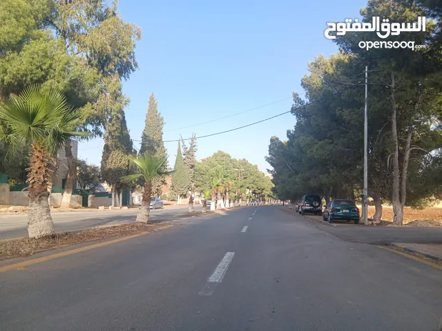 Residential Land for Sale in Amman Husban