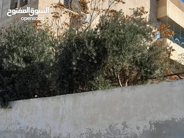  Building for Sale in Zarqa Russayfah