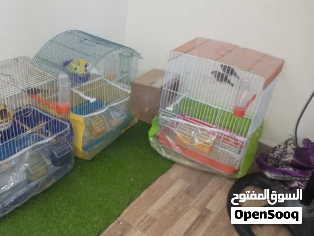 أقفاص فارغه