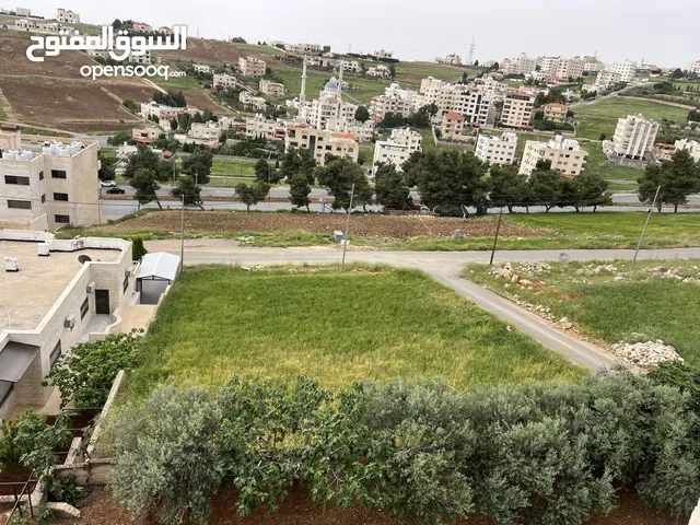 ارض بالسلط قرب الجامعة الأهلية مميزة للبيع من المالك مباشرة