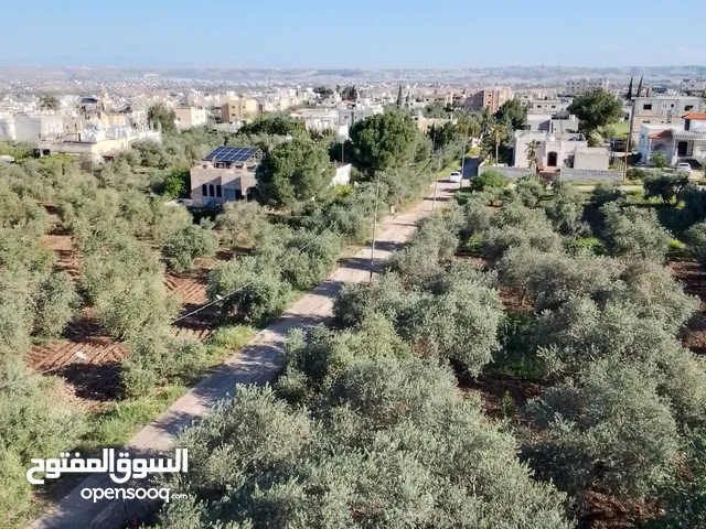 أرض للبيع ما شاء الله تبارك الرحمن الله يبارك لصاحب النصيب