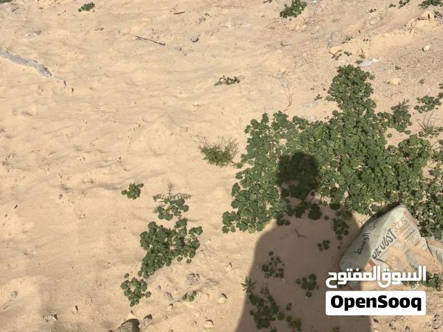 Residential Land for Sale in Tripoli Al-Serraj