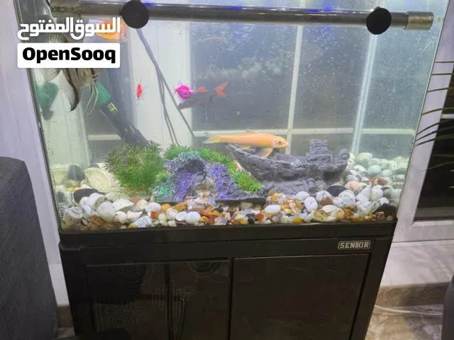 للبيع حوض سمك زينه انيق جدا مع الأسماك