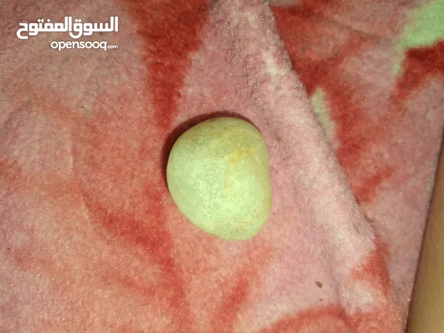 حجر كريم يسمى الياقوت او الاوبال