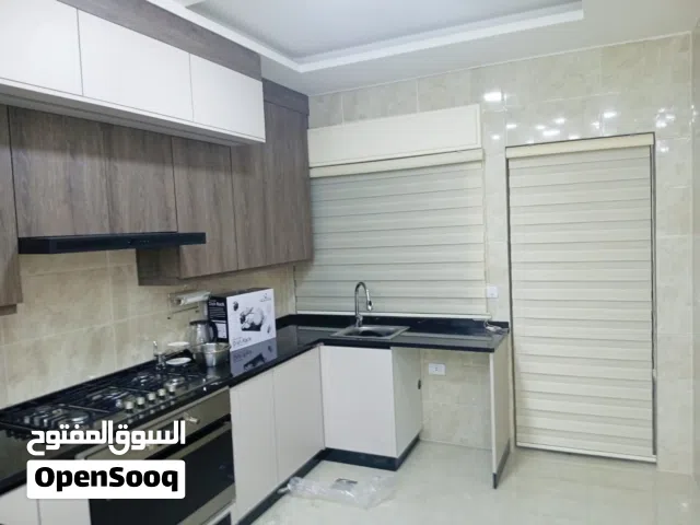 برادي زيبرا