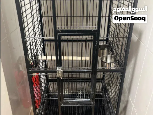 قفص طيور أنيق للبيع – جودة عالية وتصميم عملي Premium Bird Cage for Sale – Elegant & Durable