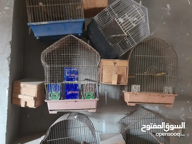 اقفاص عصافير بالعشوش العشوش معموله عموله واسعه وحاله جيده