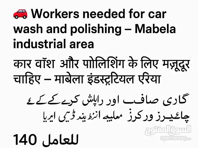 مطلوب عمال تنظيف وتلميع سيارات Cleaning and polishing workers needed