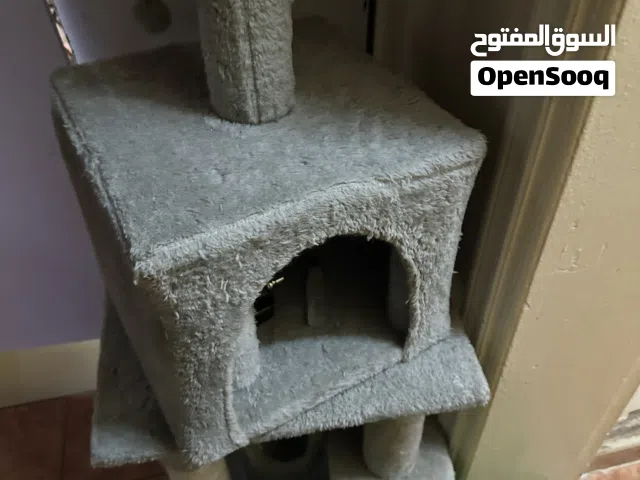 بيت للحيوانات