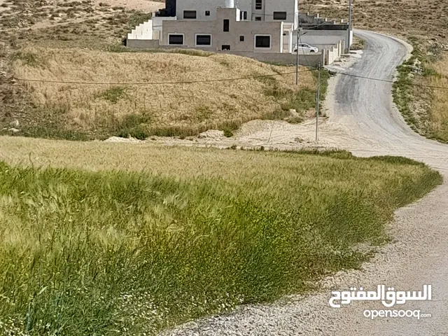 Residential Land for Sale in Amman Zinat Al-Rubue