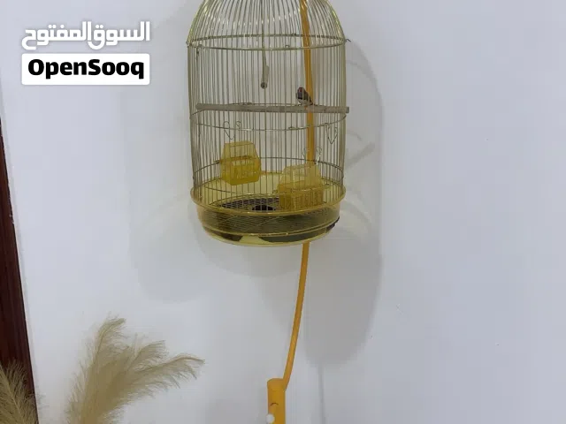 قفص للبيع مع الطير فنجس