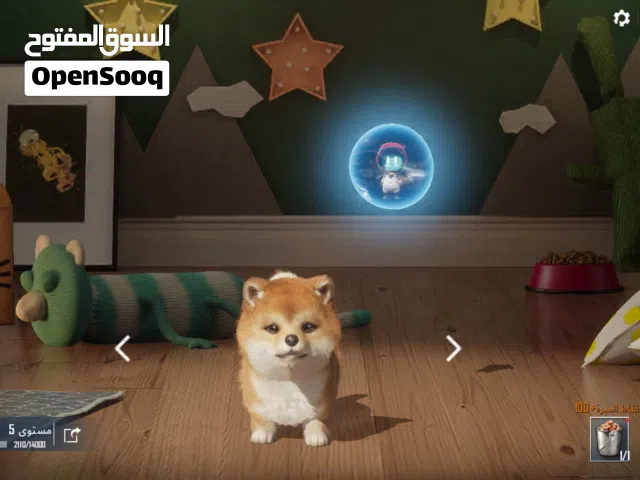 حساب ببجي فيو امفور تلجي فل ماكس فيو امفور النمر الناري لفل 3وفيو كثير شغلات