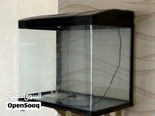 حوض سمك الزينه