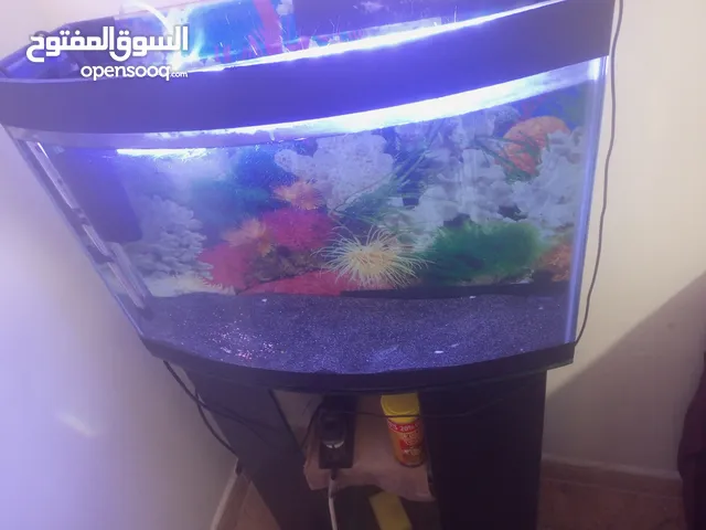 حوض سمك مع قاعدة وجميع ملحقاته للبيع