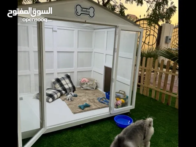 بيت للكلاب ممتاز جدا و و كولتي ممتاز