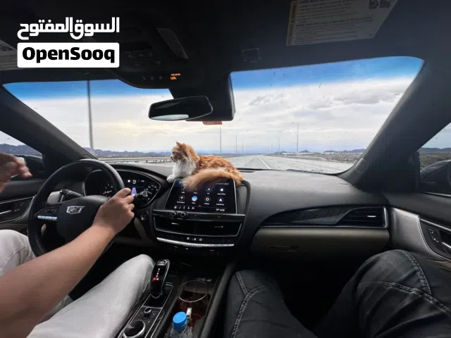 السعر قابل للتفاوض