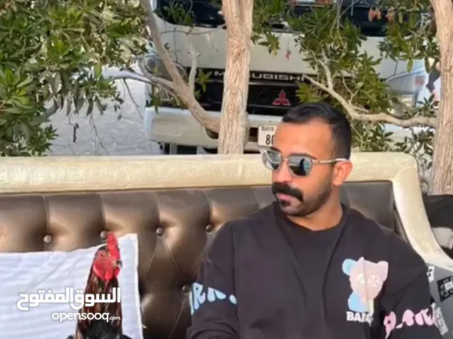 ديك باكستاني بيور ميوالي اصيل