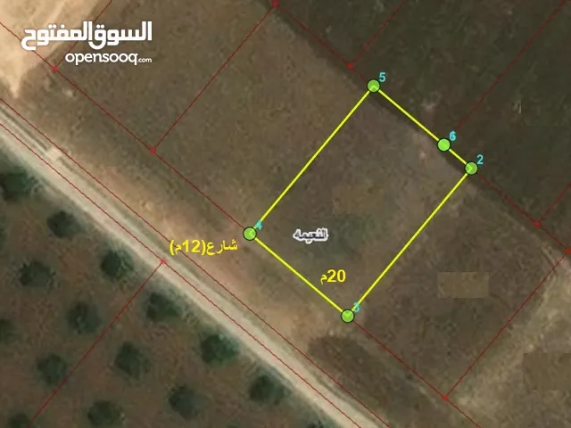 Residential Land for Sale in Irbid An-Nuayyimah