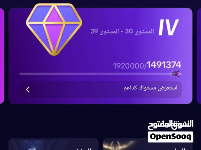 حساب تيك توك ليفل 33