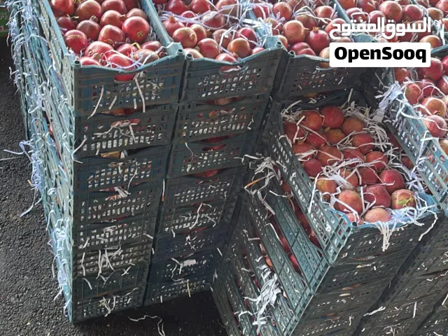 فرصة استثمارية في السوق المركزي عمان  فرص تجارية