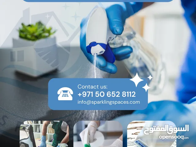 Professional cleaning services