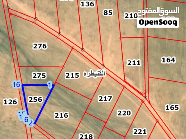 ارض للبيع جنوب عمان / القنيطرة