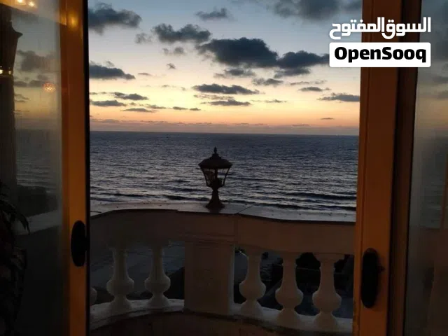 Furnished Daily in Alexandria Agami