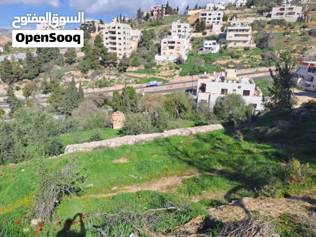 Residential Land for Sale in Amman Al-Fuhais