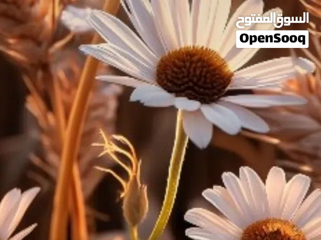 Samsung Galaxy S22 Ultra 5G 512 GB in Northern Sudan