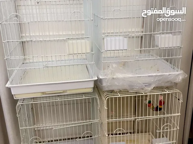 للبيع 4 قفاص للطيور