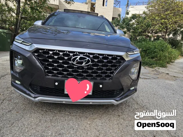 سنتفيه ترخيص20