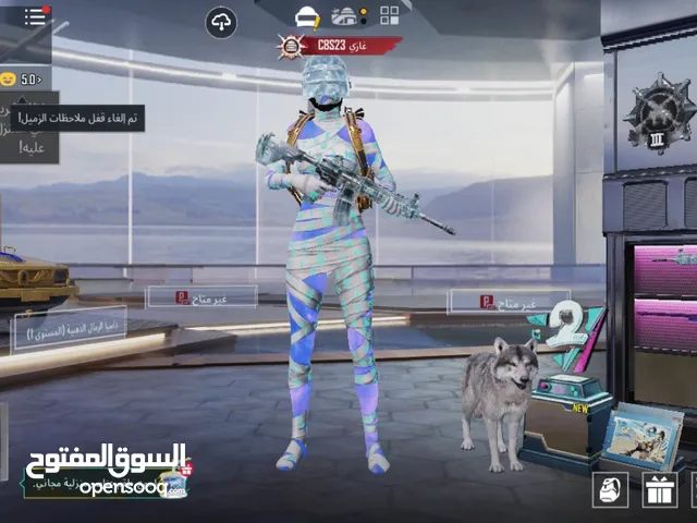 Pubg Accounts and Characters for Sale in Sharjah