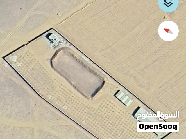 Farm Land for Sale in Amman Other