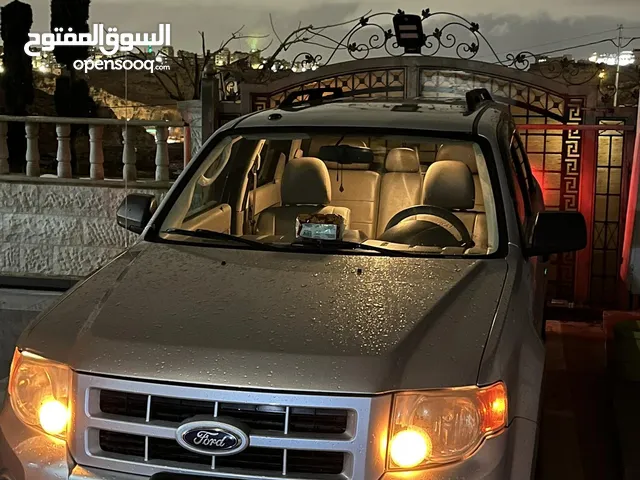 Ford escape (2012)