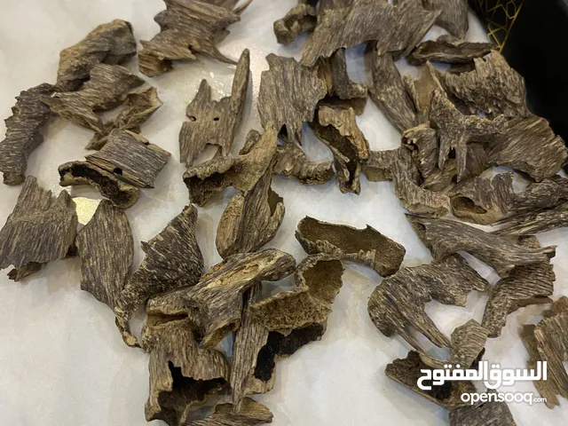 عود موري طبيعي درجه سوبر و سوبر مرتفع