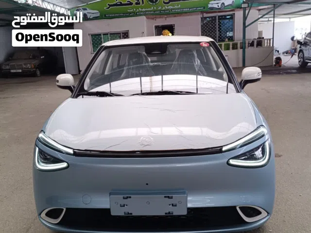 2025 دونج فينج نامي بوكس