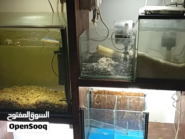 حوض سمك معى جميع المستلزمات