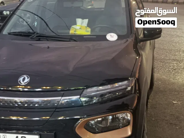 2024 Dongfeng EX1