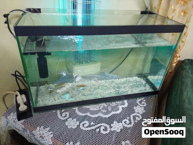 للبيع حوض سمك زينة بحالة ممتازة   المقاس: 60 × 37 تقريبًا مع فلتر شغال الحوض نظيف وجاهز للاستخدام