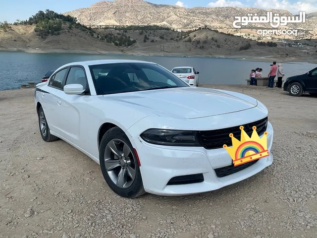 Used Dodge Charger in Basra