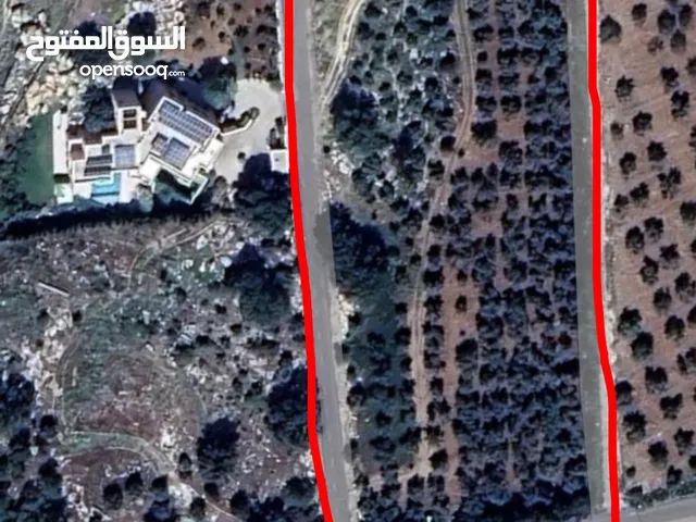 Residential Land for Sale in Amman Bahath